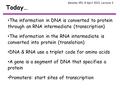 Today… Genome 351, 8 April 2013, Lecture 3 The information in DNA is converted to protein through an RNA intermediate (transcription) The information in.