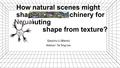 How natural scenes might shape neural machinery for computing shape from texture? Qiaochu Li (Blaine) Advisor: Tai Sing Lee.