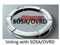 Voting with SOSA/OVRD SOSA/OVRD. Login and Information Screens After login, the SOSA Voting Information screen displays The Database drop-down allows.
