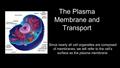 The Plasma Membrane and Transport Since nearly all cell organelles are composed of membranes, we will refer to the cell’s surface as the plasma membrane.