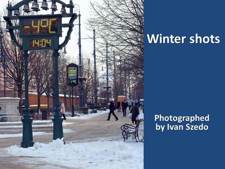 Winter shots Photographed by Ivan Szedo 2010.12.19.Fresh snow2.