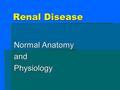 Renal Disease Normal Anatomy andPhysiology. Renal: Normal Anatomy 1. Renal artery and vein: 25% of blood volume passes through the kidney / minute 2.