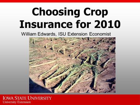 Choosing Crop Insurance for 2010 William Edwards, ISU Extension Economist.