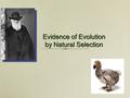 Evidence of Evolution by Natural Selection. Evidence supporting evolution Fossil record transitional fossils, fossil strata Molecular record DNA, RNA,