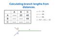 Calculating branch lengths from distances. ABC A -----2040 B----- 44 C----- a b c.