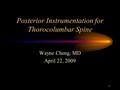 1 Posterior Instrumentation for Thorocolumbar Spine Wayne Cheng, MD April 22, 2009.