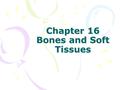 Chapter 16 Bones and Soft Tissues. Objectives Explain the difference between the axial and appendicular skeleton. Define the functions of the skeletal.