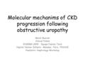 Molecular mechanims of CKD progression following obstructive uropathy Mordi Muorah Clinical Fellow INSERM U845 – Equipe Fabiola Terzi Hopital Necker Enfants-