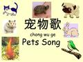 宠物歌 chong wu ge Pets Song 小狗，汪汪汪！ 小猫，喵喵喵！ 小仓鼠，吱吱吱！ 小鸟， ( whistle ) 小金鱼，游游游！ 小乌龟，爬爬爬！ 小兔子，跳跳跳！ 宠物真可爱 ， “ Pets are really CUTE !”