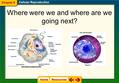 Where were we and where are we going next? Cellular Reproduction Chapter 9.