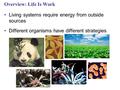 Overview: Life Is Work Living systems require energy from outside sources Different organisms have different strategies.