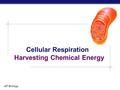 AP Biology Cellular Respiration Harvesting Chemical Energy.