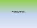 Photosynthesis. The Light Reactions Obtaining Energy – Autotrophs- organisms that use energy from sunlight or from chemical bonds in inorganic substances.