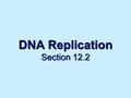 DNA Replication Section 12.2. Why and When? DNA needs to be copied in preparation for mitosis/meiosis. Occurs during “s” phase of the cell cycle.