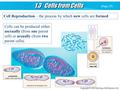 1.3 Cells from Cells Cell Reproduction – the process by which new cells are formed Cells can be produced either asexually (from one parent cell) or sexually.