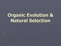 Organic Evolution & Natural Selection. Evolution ► development of complex life forms  through mutation and selection  natural selection - survival of.