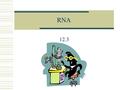 RNA 12.3 What is RNA?  Macromolecule made of nucleotides from DNA  Used to build proteins.