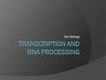 Adv Biology. Transcription  There are four main steps in making a protein. Transcription RNA Processing Translation Protein Processing.