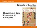 Copyright © 2009 Pearson Education, Inc. Regulation of Gene Expression in Eukaryotes Chapter 17 Lecture Concepts of Genetics Tenth Edition.