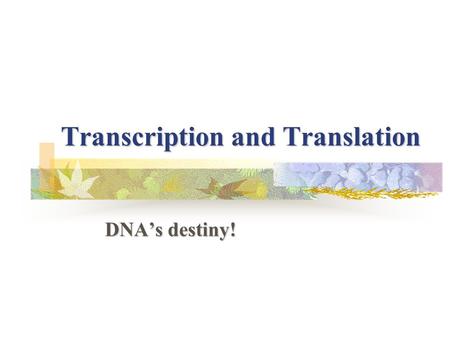 Transcription and Translation DNA’s destiny!. What does DNA really do? The DNA code must code for something right??? So what IS IT???? The DNA code must.