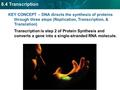 8.4 Transcription KEY CONCEPT – DNA directs the synthesis of proteins through three steps (Replication, Transcription, & Translation) Transcription is.