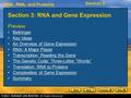 DNA, RNA, and Proteins Section 3 Section 3: RNA and Gene Expression Preview Bellringer Key Ideas An Overview of Gene Expression RNA: A Major Player Transcription: