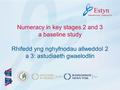 Numeracy in key stages 2 and 3 a baseline study Rhifedd yng nghyfnodau allweddol 2 a 3: astudiaeth gwaelodlin.