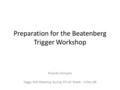 Preparation for the Beatenberg Trigger Workshop Ricardo Gonçalo Higgs WG Meeting during ATLAS Week - 4 Dec.08.