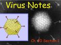 Virus Notes Ch. 20 Section 1. IMPORTANT TERMS 1.HOST – AN ORGANISM THAT SHELTERS AND NOURISHES SOMETHING. 2. RETROVIRUS - A VIRUS THAT REPLICATES BY FIRST.