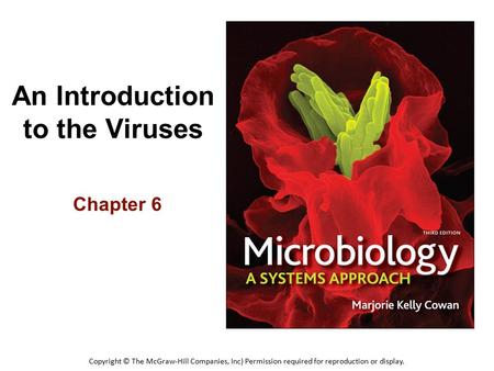 An Introduction to the Viruses Chapter 6 Copyright © The McGraw-Hill Companies, Inc) Permission required for reproduction or display.