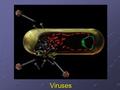 Viruses. 1. According to the article you read yesterday, do scientists consider viruses to be alive? Why or why not?