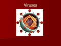 Viruses. Virus A non living particle composed of a nucleic acid and a protein coat A non living particle composed of a nucleic acid and a protein coat.