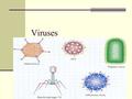 Viruses. Nonliving particle – do not contain all characteristics of life Reproduce by infecting cells Made of 2 things Nucleic acid Capsid – protein coat.