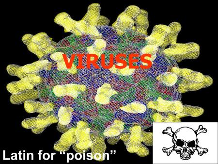 VIRUSES Latin for “poison” VIRUS: a particle that can only be seen with an electron microscope It is different from a cell because it does not: contain.