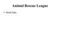 Animal Rescue League Feral Cats. What are Feral Cats? A domestic animal that has reverted back to a wild state is considered feral Lost or abandoned cats.