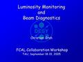 Luminosity Monitoring and Beam Diagnostics FCAL Collaboration Workshop TAU, September 18-19, 2005 Christian Grah.