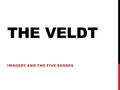 THE VELDT IMAGERY AND THE FIVE SENSES. IMAGERY Definition: the author’s use of descriptive or figurative language to create a picture in the reader’s.