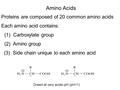 Amino Acids Proteins are composed of 20 common amino acids Each amino acid contains: (1) Carboxylate group (2) Amino group (3) Side chain unique to each.