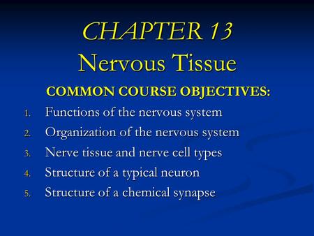 CHAPTER 13 Nervous Tissue COMMON COURSE OBJECTIVES: 1. Functions of the nervous system 2. Organization of the nervous system 3. Nerve tissue and nerve.