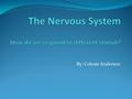 By: Celeste Anderson. The Nervous System The nervous system is a compound group of nerves and special cells called neurons which send specific messages.