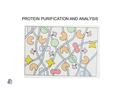 PROTEIN PURIFICATION AND ANALYSIS. Assays Need measures for the object (enzyme activity, chromophore, etc.) and for total protein concentration: