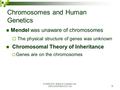 © 2006 W.W. Norton & Company, Inc. DISCOVER BIOLOGY 3/e 1 Chromosomes and Human Genetics Mendel was unaware of chromosomes  The physical structure of.