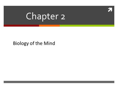  Chapter 2 Biology of the Mind Mind. Neural Communication  The body’s information system is built from billions of interconnected cells called neurons.