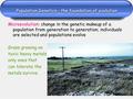 Population Genetics - the foundation of evolution Microevolution: change in the genetic makeup of a population from generation to generation; individuals.