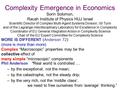 Complexity Emergence in Economics Sorin Solomon, Racah Institute of Physics HUJ Israel Scientific Director of Complex Multi-Agent Systems Division, ISI.