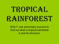 Tropical Rainforest WALT: use secondary sources to find out what a tropical rainforest is and its structure.