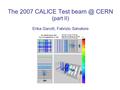 The 2007 CALICE Test CERN (part II) Erika Garutti, Fabrizio Salvatore.