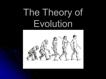 The Theory of Evolution. The theory of Evolution Evolution is known as the gradual change in the characteristics of a species over time.