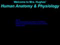 Top 10  w&list=PLDF0C8C3BC927E631&index=1&featu re=plpp_video Welcome to Mrs. Hughes’ Human Anatomy & Physiology.