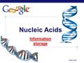 AP Biology 2006-2007 Nucleic Acids Information storage.
